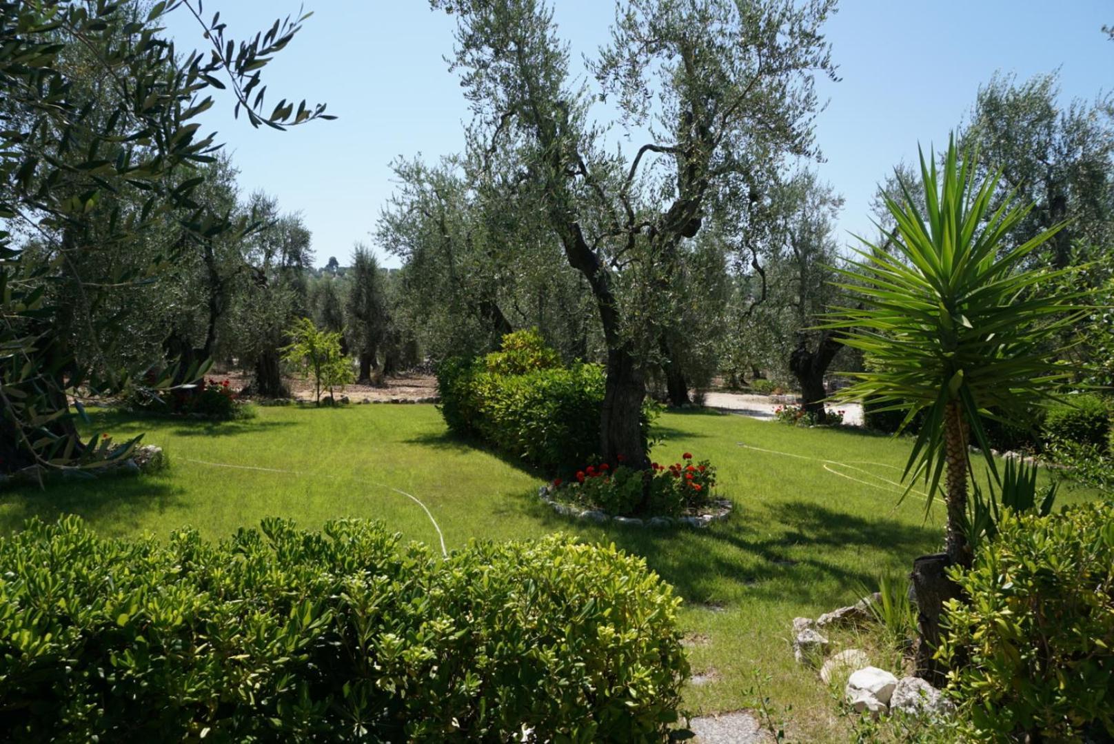 Residence Valleverde Vieste Buitenkant foto