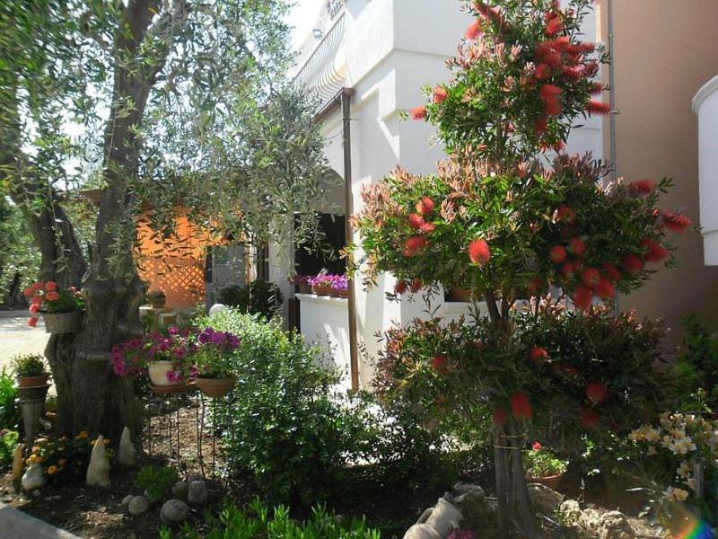 Residence Valleverde Vieste Buitenkant foto
